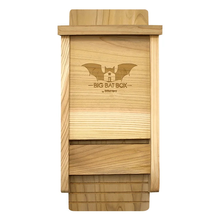 Single Chamber Bat House, Black, crafted from cedar, with a slim, single-chamber design, ideal for small bat colonies, promoting natural mosquito control in compact outdoor spaces.