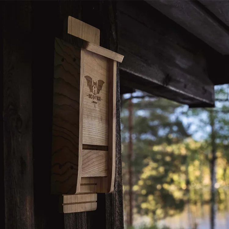 Single Chamber Bat House, Black, mounted on a cabin wall, features a bat-logo and Big Bat Box engraving, designed for eco-friendly mosquito control.