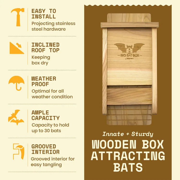 Single Chamber Bat House, Black, shown with features: easy installation, inclined roof, weatherproof design, ample 30-bat capacity, grooved interior for bat grip.