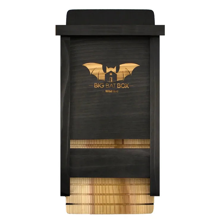 Single Chamber Bat House, Black, features a cedar construction with ventilation slots, rough landing strip, and bat silhouette, ideal for eco-friendly backyard mosquito control.