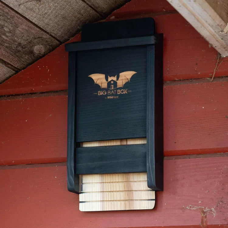 Single Chamber Bat House mounted under eaves, crafted from weather-resistant cedar with a slim design, ideal for small bat colonies and eco-friendly mosquito control.