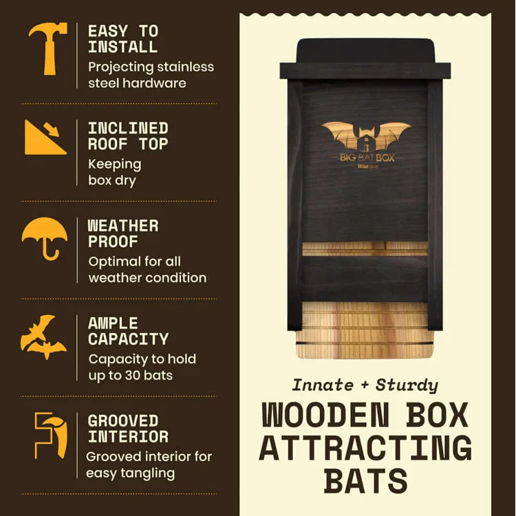 Single Chamber Bat House, Black: Dark-stained wooden box with sloped roof, bat logo, five highlighted features; weatherproof, holds 30 bats, easy install, grooved interior.