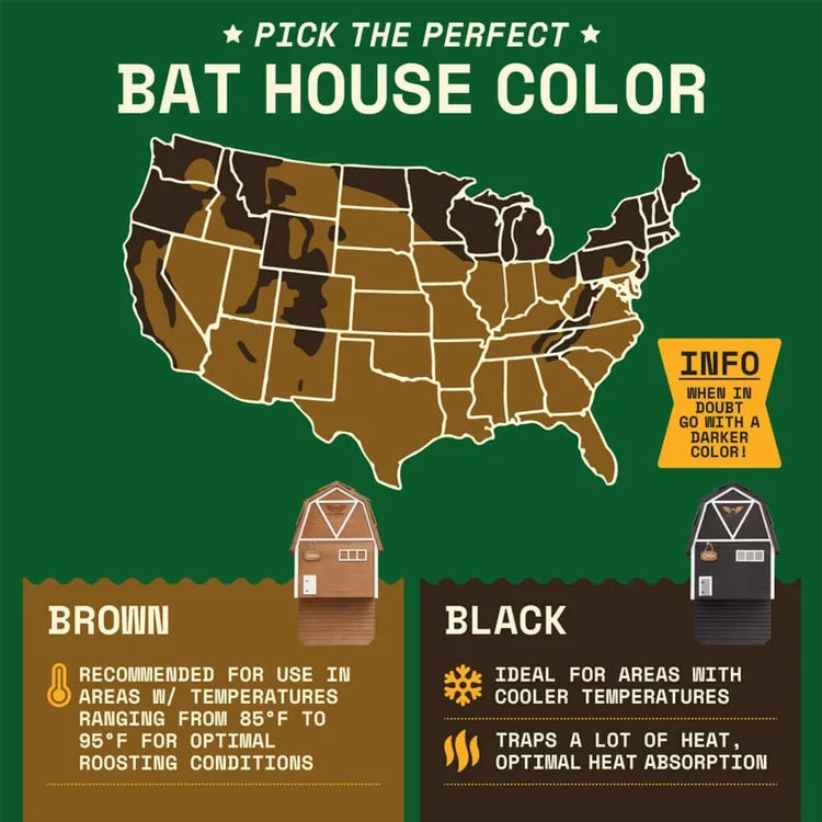 Infographic on bat house color choice, featuring a U.S. map for climate-based color selection; highlights Big Bat Barn's pest control benefits with mesh screening and nesting chamber.