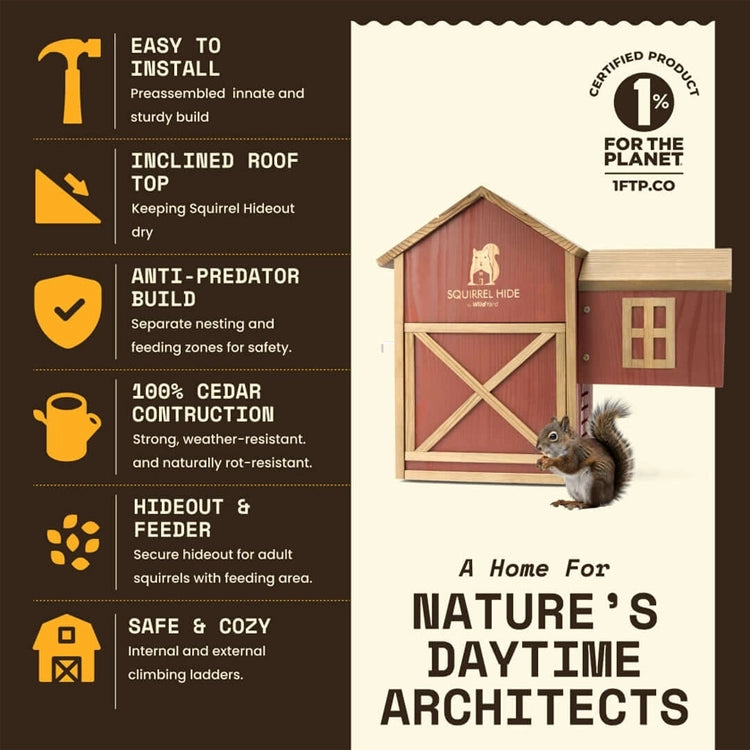 WildYard squirrel house and feeder featuring cedar construction, climbing ladders, ventilation and separate nesting area