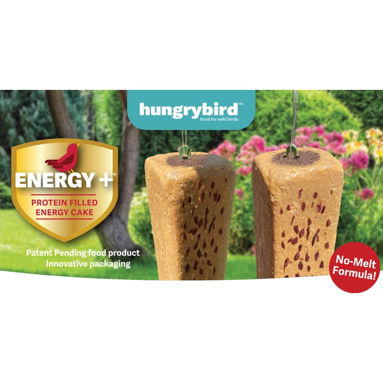 Energy+ RTU Bar with Blended Berry Filling, Set of 4 or 8, showcases no-melt, protein-packed energy cakes with seeds, featuring innovative packaging and a patent-pending formula.