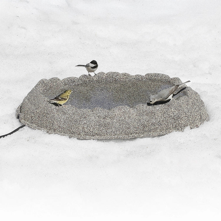 Heated Ground Bird Bath on snow with three songbirds: American goldfinch, black-capped chickadee, white-breasted nuthatch, using the bird-friendly design with electric cord visible.