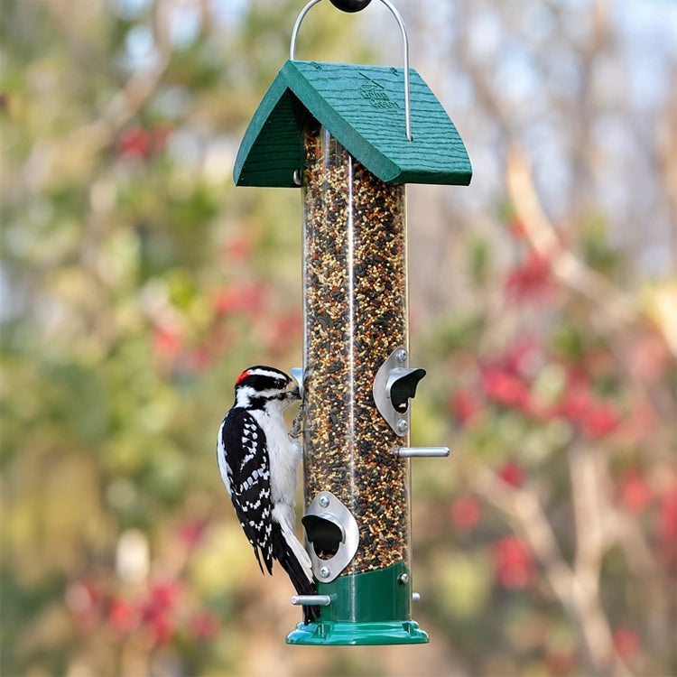 A green and clear cylindrical bird feeder filled with seeds, hanging outdoors with a black-and-white woodpecker perched on the side against a blurred natural background.