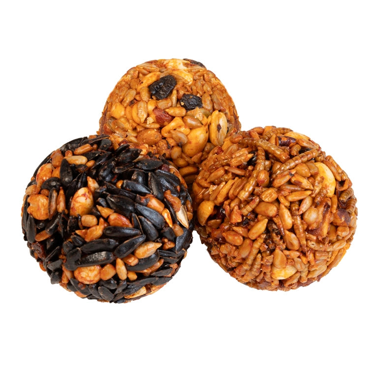 Duncraft Sizzling Seed Ball Variety Pack, 18 Balls