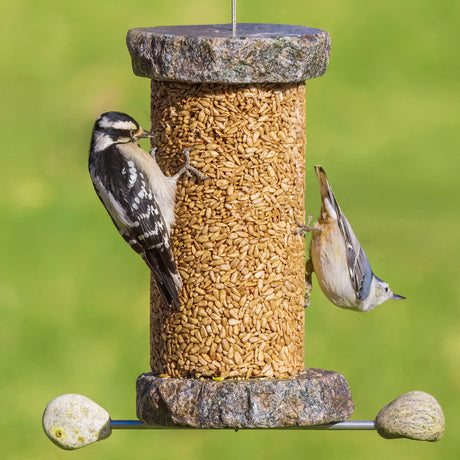 Sea Stones Lifetime Seed Cylinder Bird Feeder with two birds feeding. Handmade from reclaimed granite, featuring durable, unique design with woodpecker and nuthatch visible.