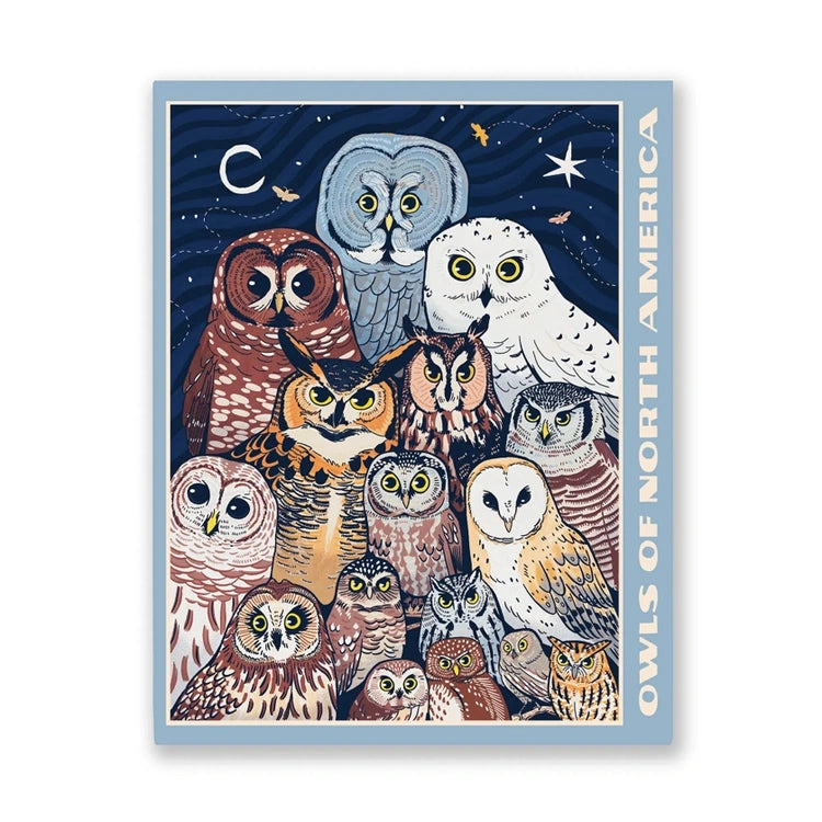 Illustration of various owls with a night sky background, titled 'Owls of North America'.
