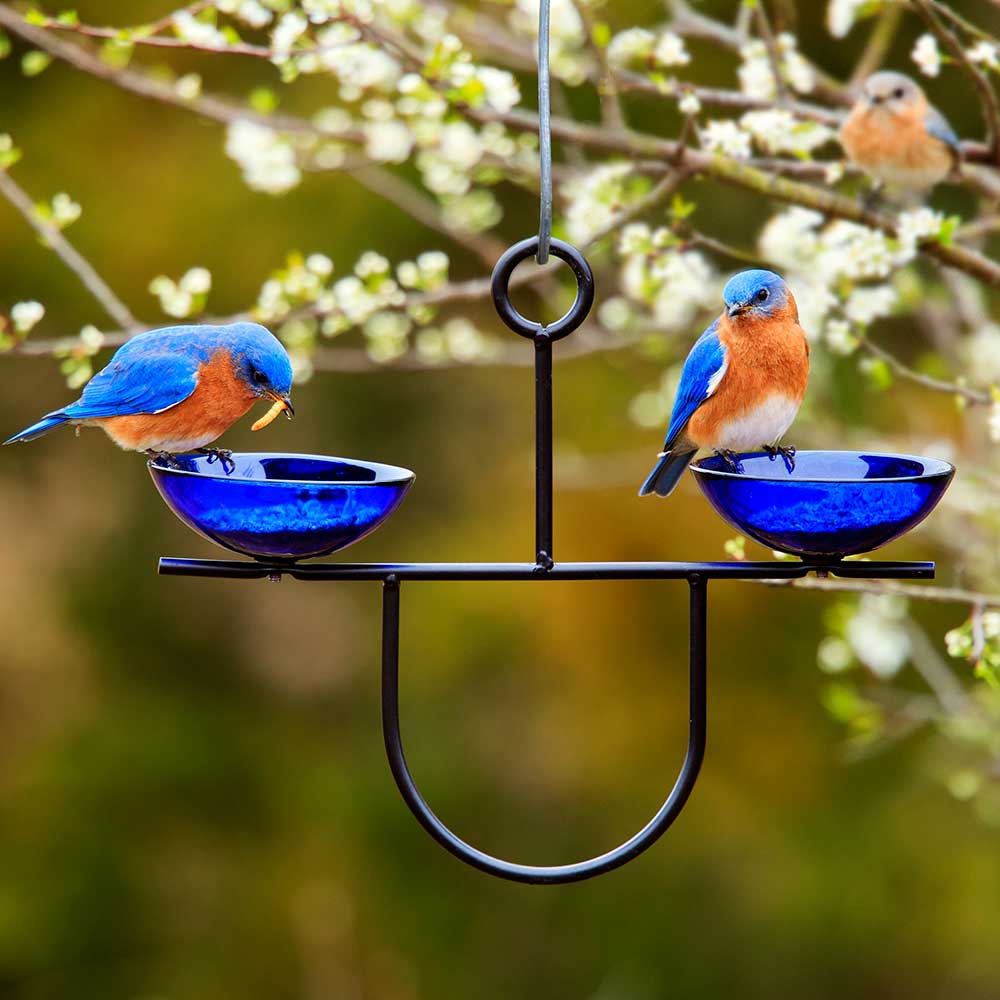 Mosaic Birds Side by Side Poppy Feeder features two cobalt blue glass dishes for bird treats, with a sturdy metal hanger for outdoor use.