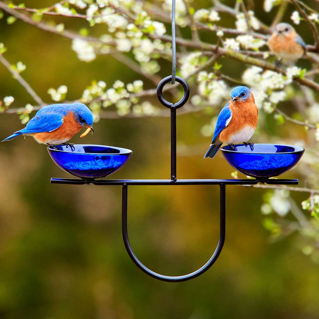 Mosaic Birds Side by Side Poppy Feeder features two cobalt blue glass dishes for bird treats, with a sturdy metal hanger for outdoor use.