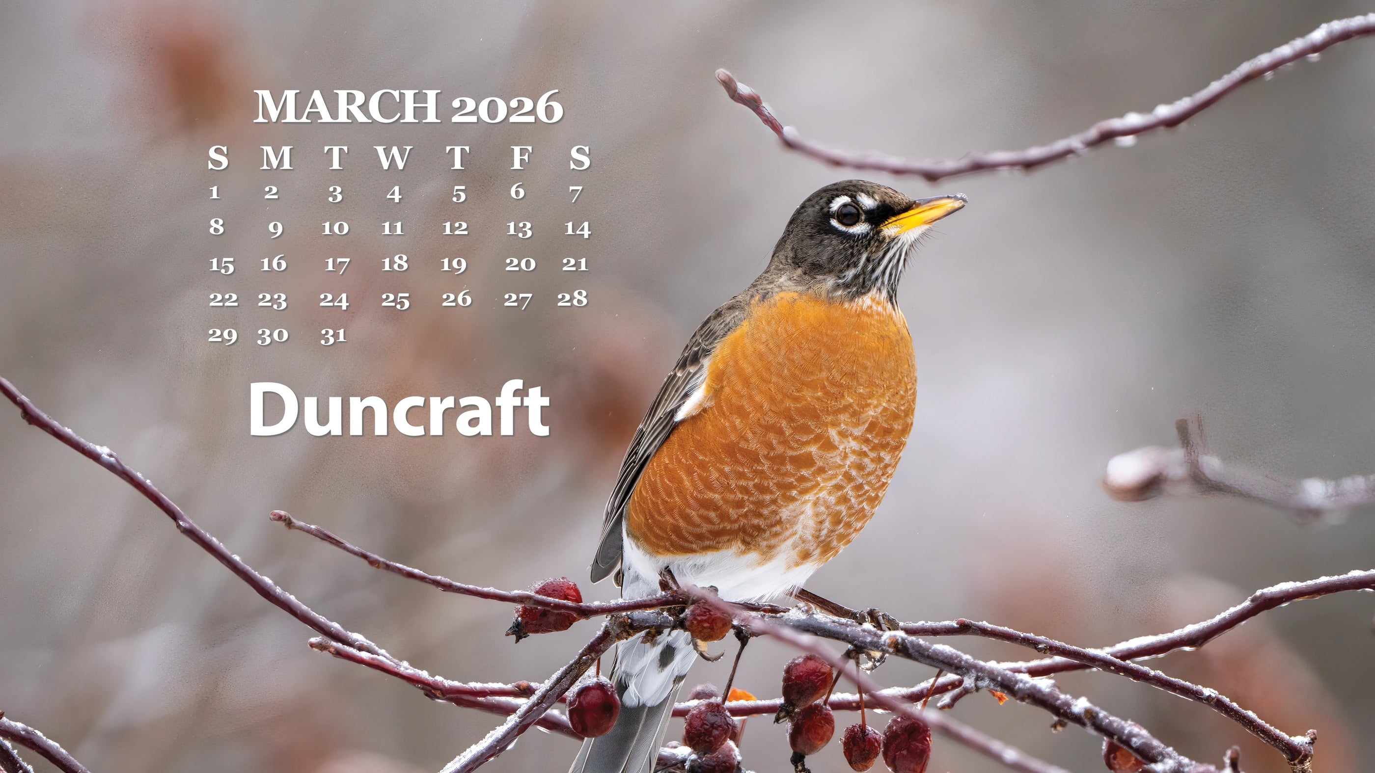 Calendar for March 2026 featuring a robin on a winter background.