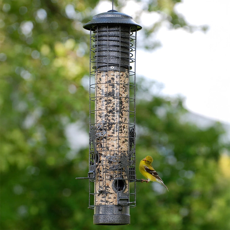 Dragonfly Squirrel-Resistant Bird Feeder