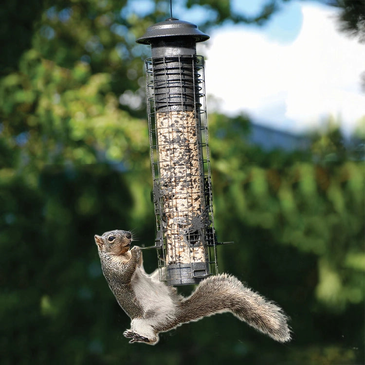 Dragonfly Squirrel-Resistant Bird Feeder
