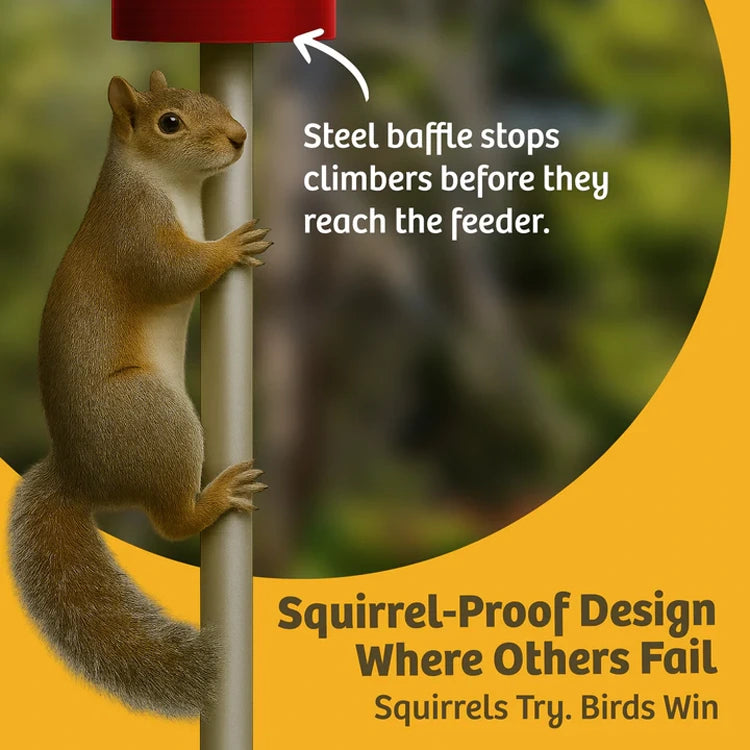 Squirrel on a metal baffle with text about squirrel-proof design