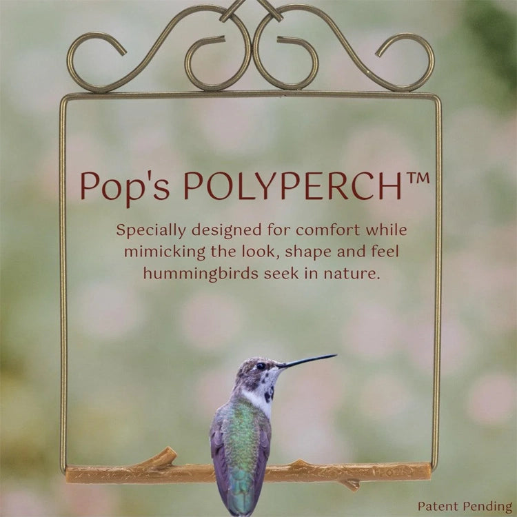 Advertisement for Pop's POLYPERCH with a hummingbird on a branch against a blurred natural background.
