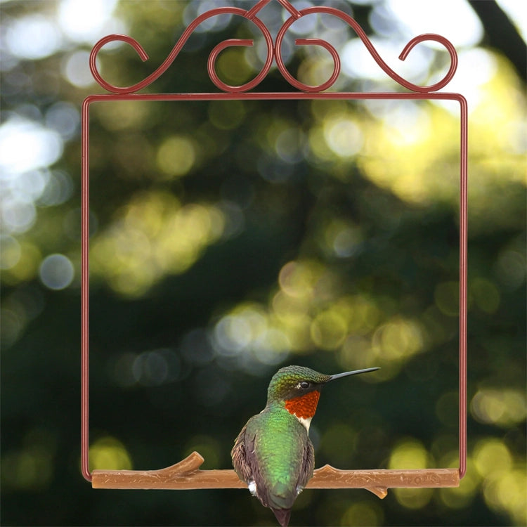 Hummingbird perched on a branch with a decorative metal frame in the foreground, against a blurred green natural background.