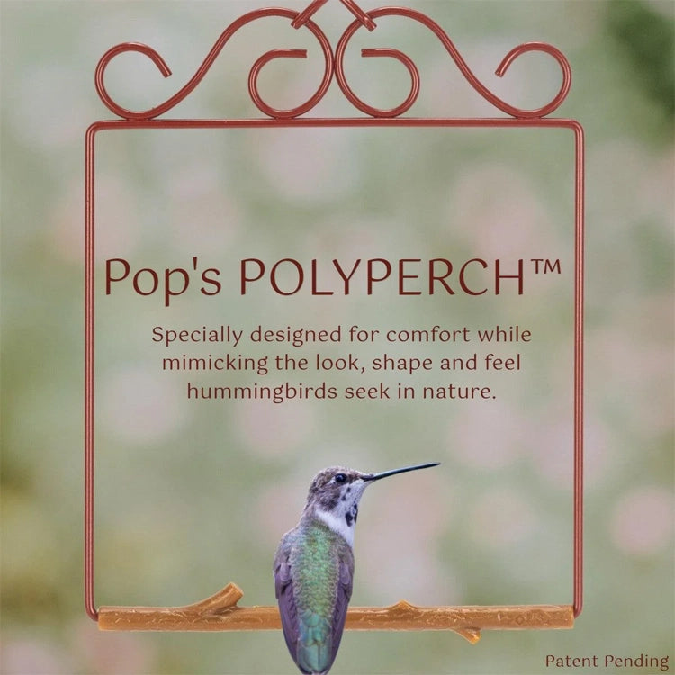 Advertisement for Pop's POLYPERCH with a hummingbird on a branch against a blurred natural background.