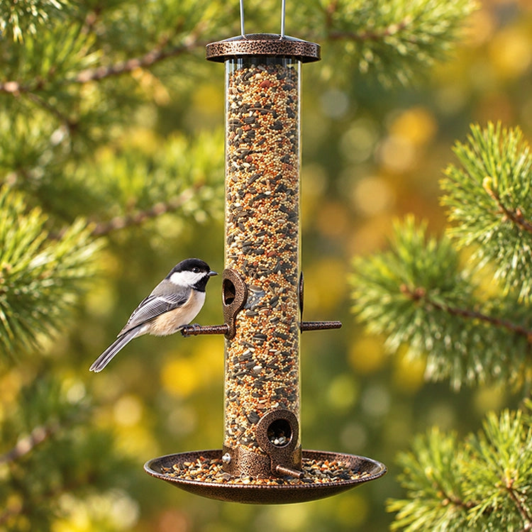 Black-capped chickadee perched on a copper tube bird feeder filled with mixed seed, with a round seed tray and pine branches in the background.