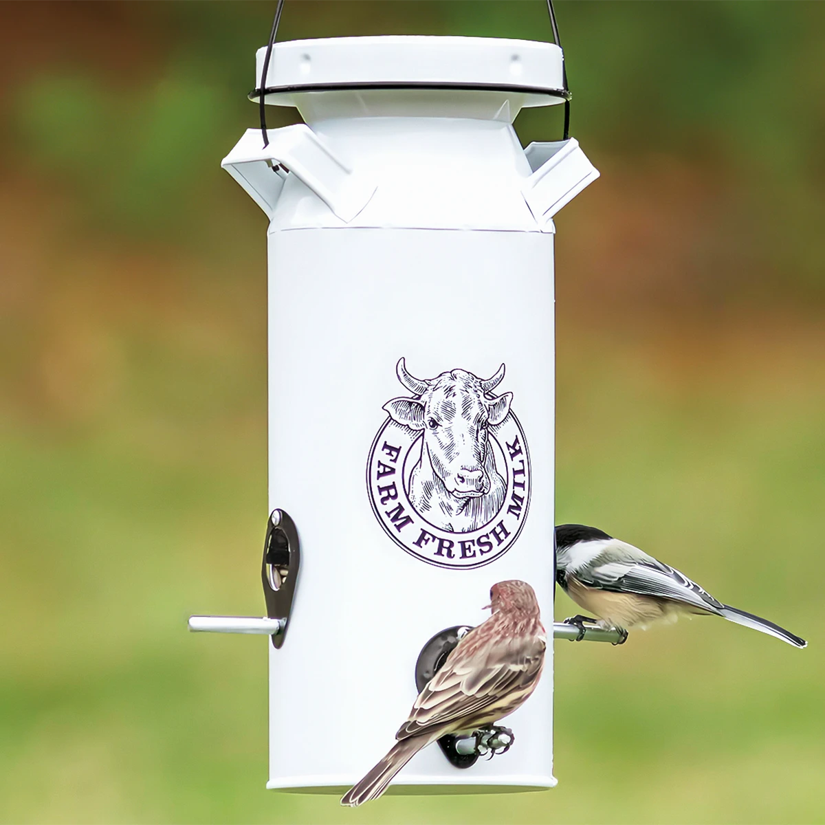 Milkhouse Milk Can Seed Feeder with Farm Fresh Milk logo, features two songbirds feeding from metal ports, designed to attract birds with its vintage style.