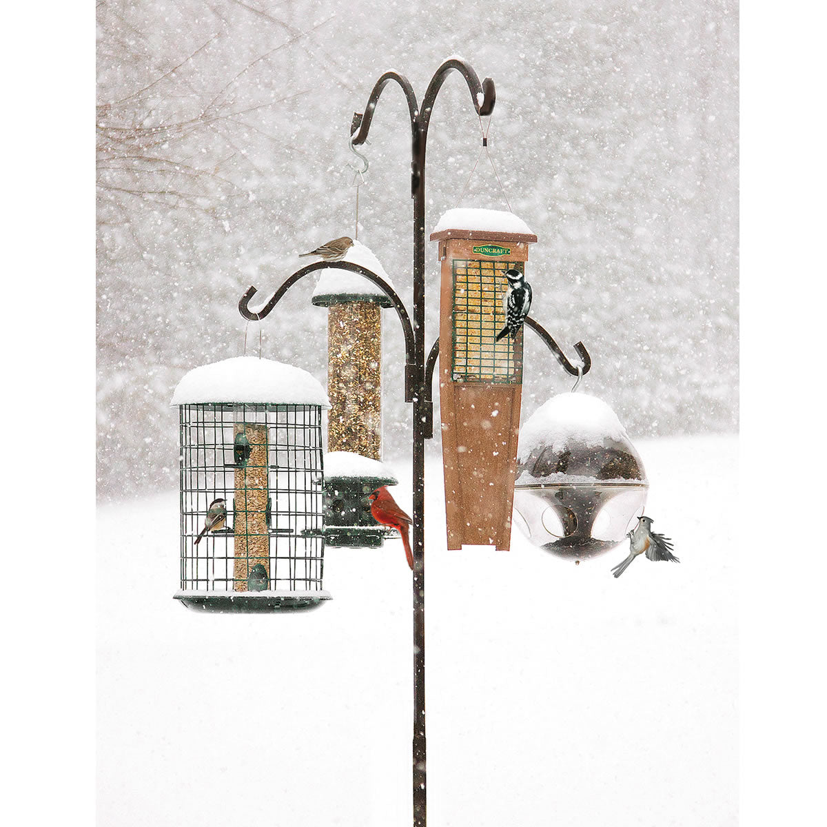 Heavy Duty Magnum Quad Hanger in snow, holding multiple bird feeders. Birds gather around, showcasing its sturdy, rust-resistant design and 20 lb. capacity per arm.