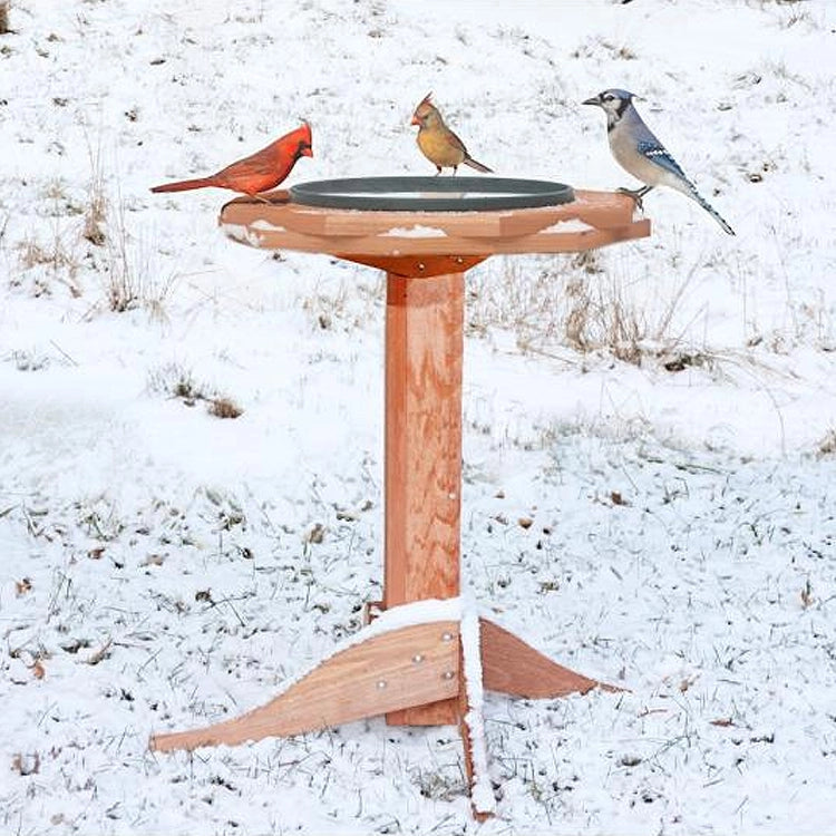 Western Red Cedar Heated Bird Bath with three songbirds perched on the rim, set in a snowy yard, showcasing its insulated design for winter use.