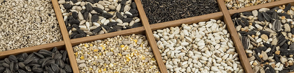 Bird Seed Box with a bunch of different types of bird seed.