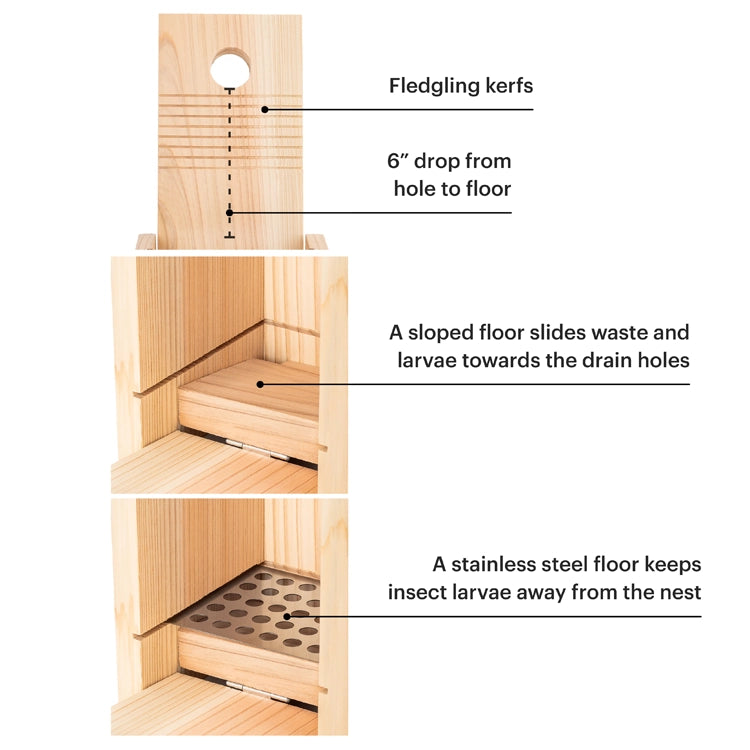 Premium Cedar Bird House