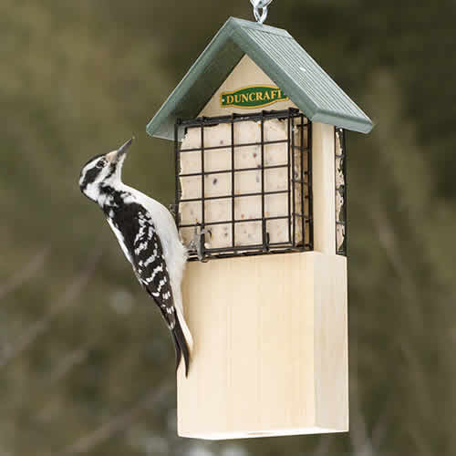 Duncraft Woodpecker Tail Support Suet Feeder