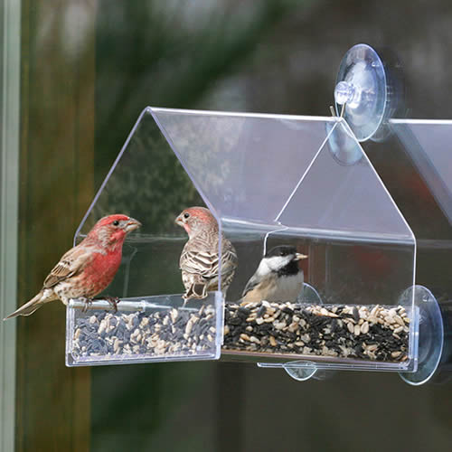 Duncraft Window Chalet Bird Feeder