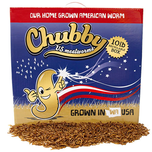 10 lbs. Chubby US Grown Dried Mealworms