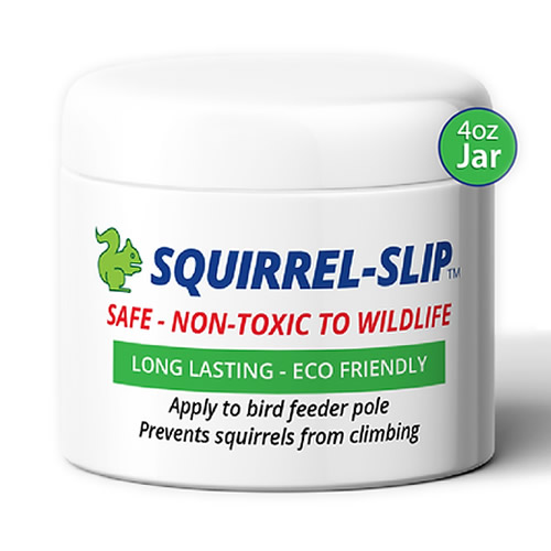 Squirrel-Slip Jar, 4 oz.