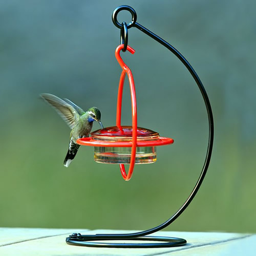 Sphere Hummingbird Set