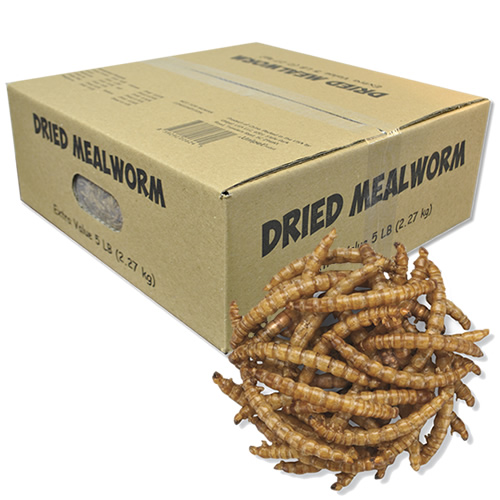 Dried Mealworm, 5 lbs.