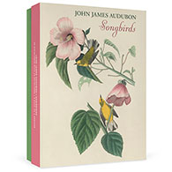 John James Audubon Songbirds Boxed Notecard Assortment