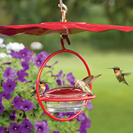 Sphere Hummingbird Feeder and Weather Guard