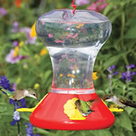Fliteline Hummingbird Feeder