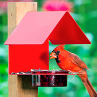 Red Metal & Glass House Bird Feeder