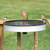 Heated Deck Mount Bird Bath