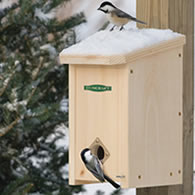 Songbird & Roosting Boxes