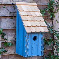 Bluebird Bunkhouse, 5 Colors to Choose