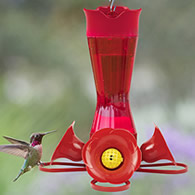 Pinch Waist Red Glass Hummingbird Feeder