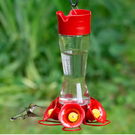 Large Pinch Waist Glass Hummingbird Feeder