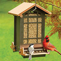 Chateau Mini Absolute® Squirrel Resistant Feeder