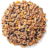 Duncraft Super No-Waste Blend Wild Bird Seed, 5-lb bag