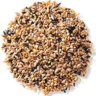 Duncraft Fancy Finch Mix Wild Bird Seed, 5-lb bag