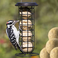 Clinger Suet & Seed Ball Package