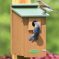 Duncraft Eco-Friendly Bluebird House