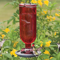 Red Bottle Hummingbird Feeder
